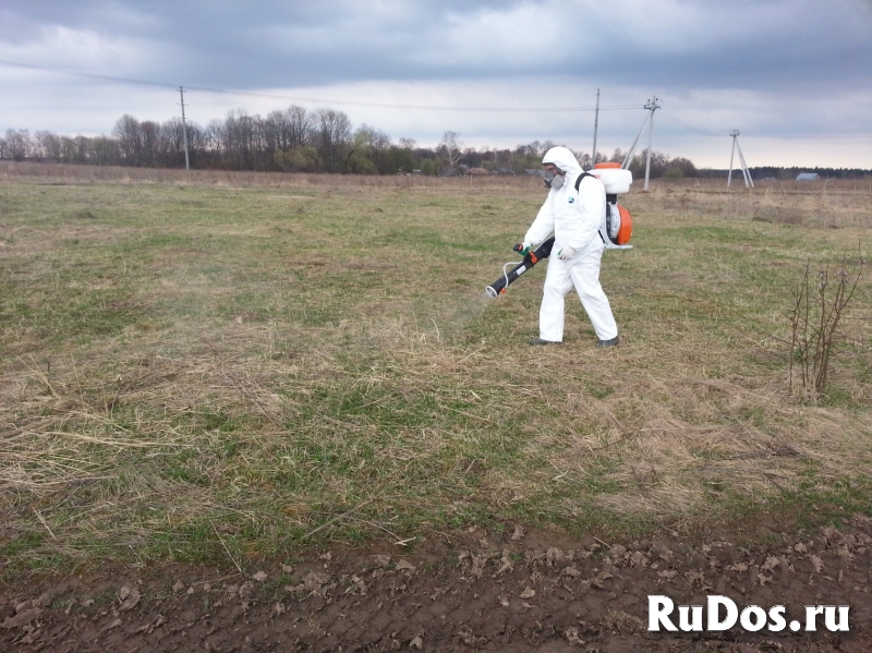 Клещи обработка дачных земельных участков весной Истра фотка