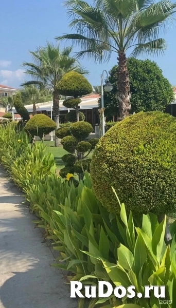 Подберем самый лучший тур, по России или за границей изображение 3