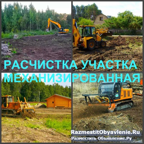 Расчистка Воронеж, расчистка участков в Воронеже изображение 3