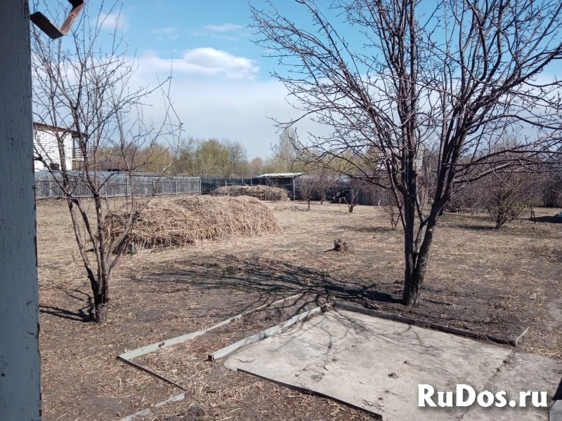 Дача СНТ Нива-82 изображение 4