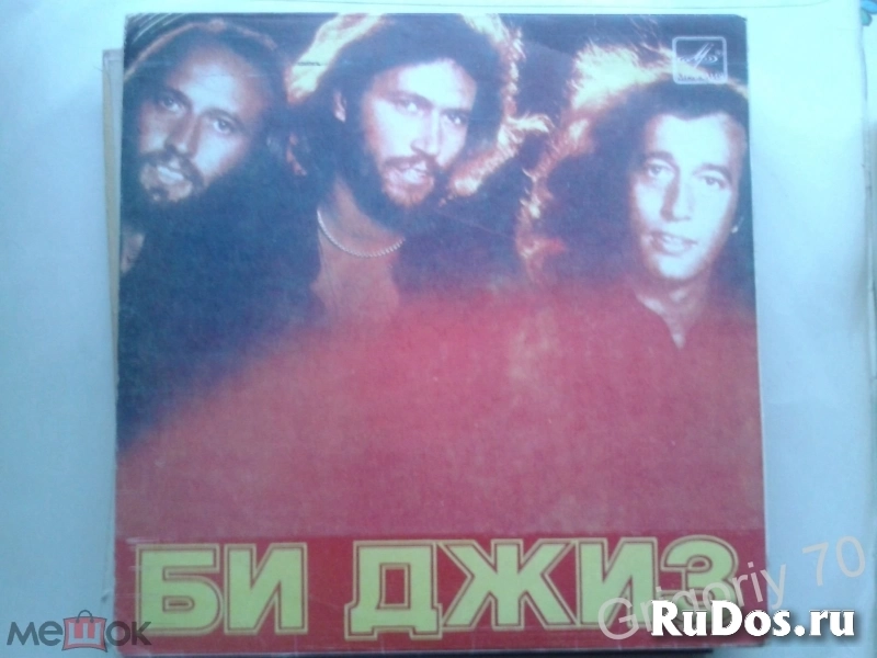 Пластинки-миньоны изображение 4