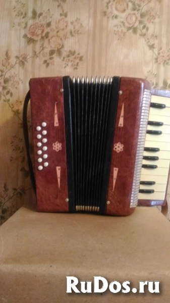 Детский аккордеон изображение 3