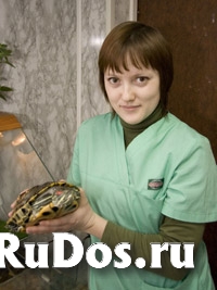 Лечение рептилий. изображение 3