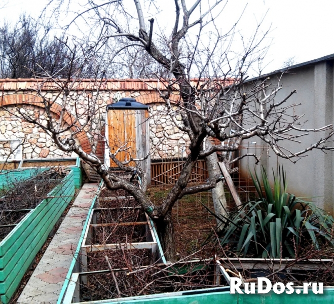Обрезка плодовых деревьев и кустарников изображение 5