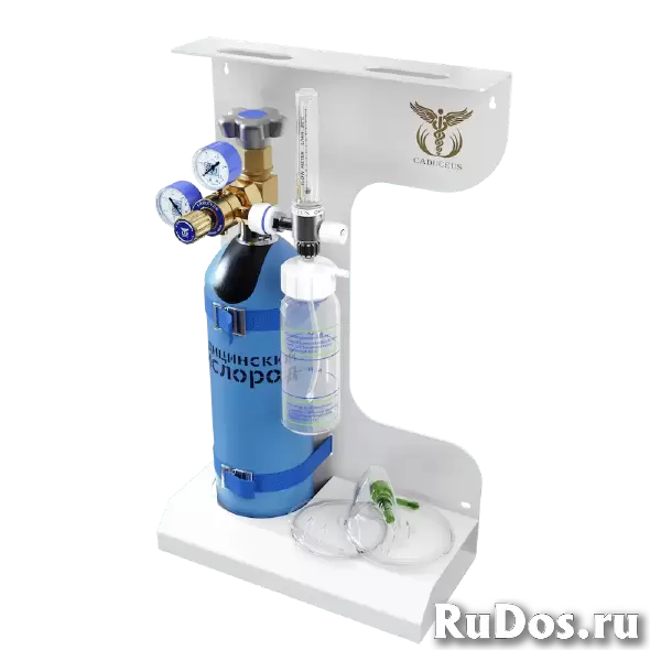 Кислородный ингалятор CADUCEUS (кислородный баллон с маской для дыхания) фотка