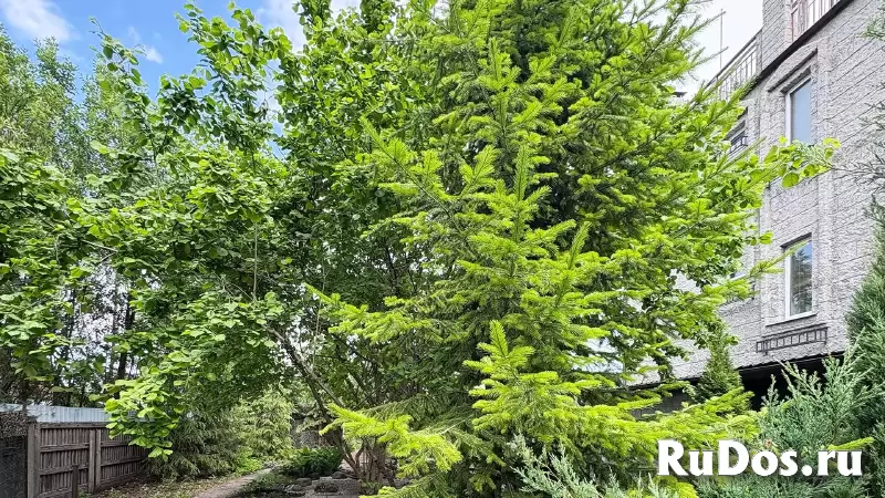 Семейный кирпичный дом 252 кв.м на 13 сотках ИЖС изображение 10