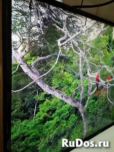 Телевизор LG 43lt340c0zb (для кафе, магазинов) изображение 6