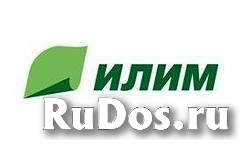 Группа «Илим» реализует неликвиды своих предприятий фото