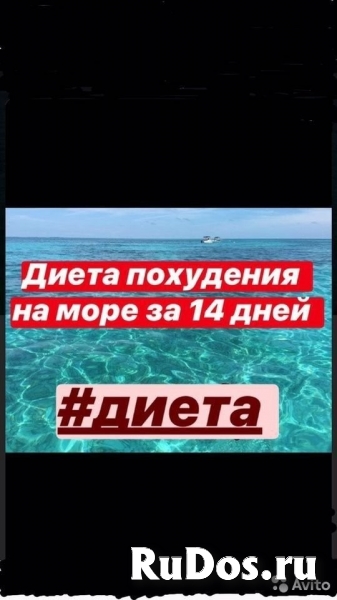 Диета диетолог программа похудения гирудотерапия пиявки голодани фотка