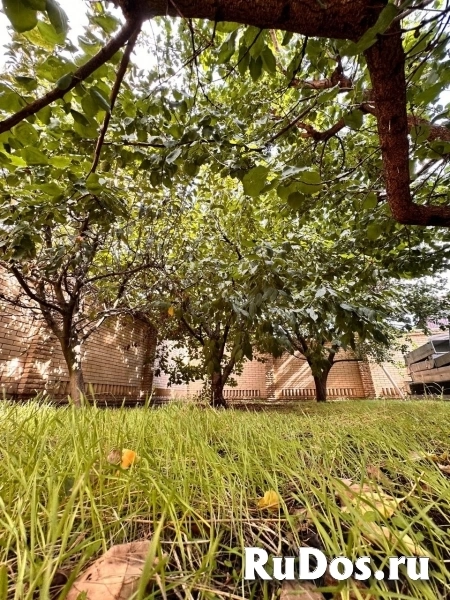 Продам дом 1500 м2 изображение 5