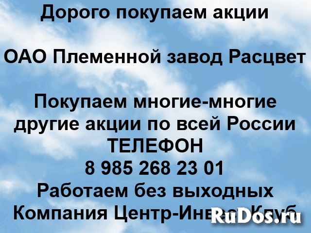 Покупаем акции ОАО Племенной завод Расцвет и любые другие акции фото