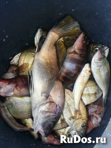 Морские прогулки по черноморскому побережью фотка