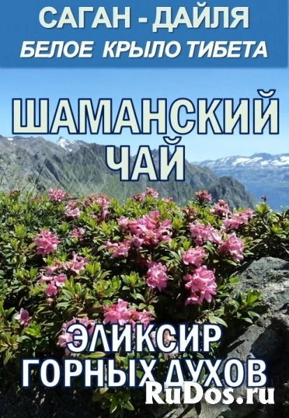 Гидролаты и функциональные купажи ProGynuru — сила тропических растений для здоровья и красоты. изображение 4