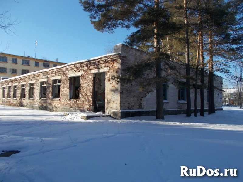 Сдам в долгосрочную аренду фото