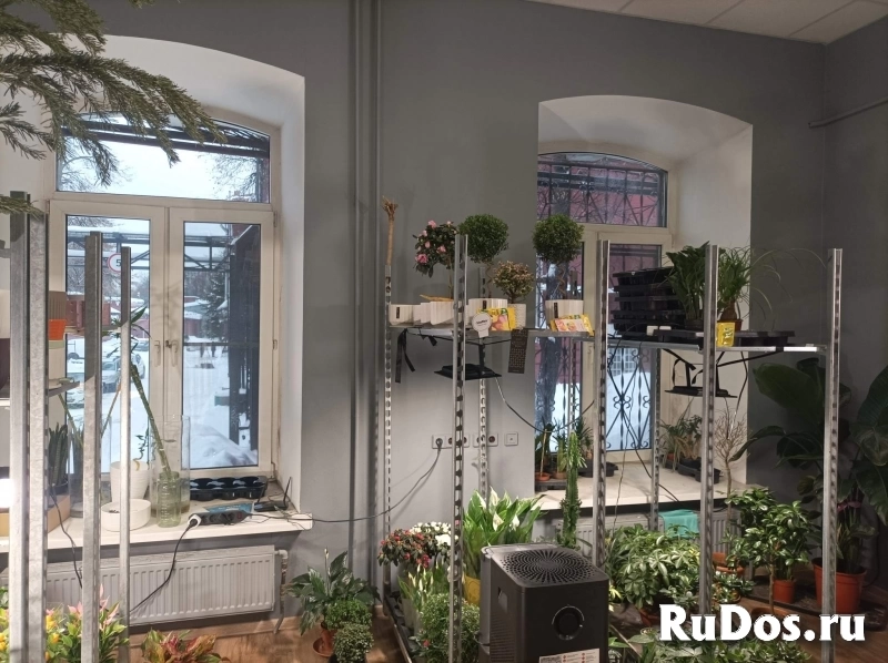 Сдам коммерческую недвижимость 51.5 м2 изображение 4