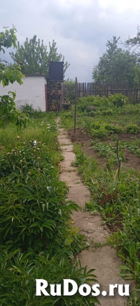 Дача во Владимире СНТ Ветеран рядом с рекой Содышка изображение 4