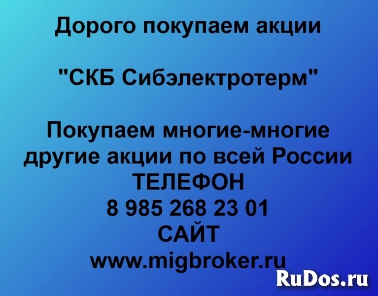Покупка акций «СКБ Сибэлектротерм» фото