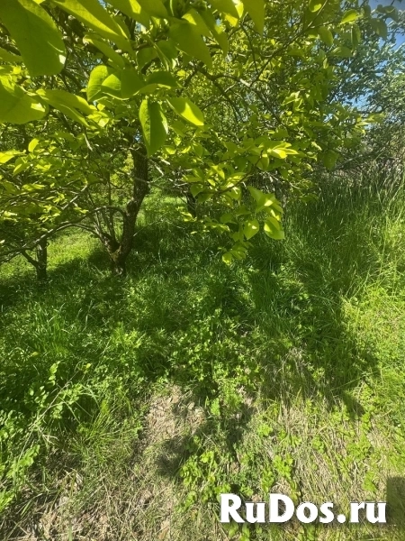 Дом в Сочи недорого! фотка