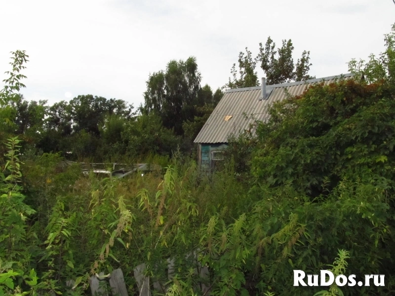 Дача СНТ КСМ-2 фото