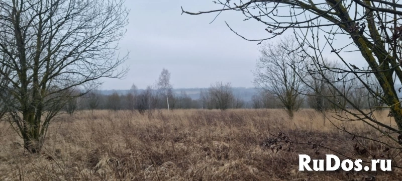 Продам участок 1440 сот. изображение 6