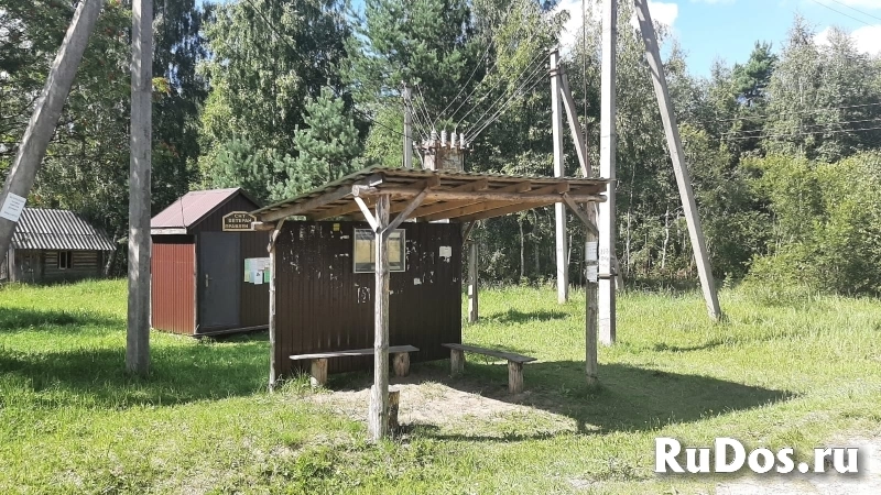 Уютный участок под строительство дома в березовой роще фотка