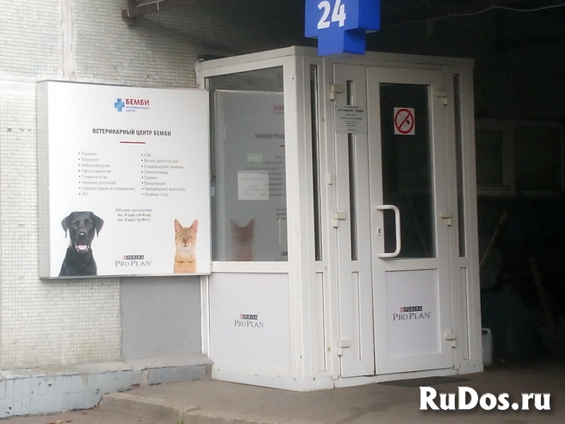 Ветеринарная клиника на Цюрупы фото