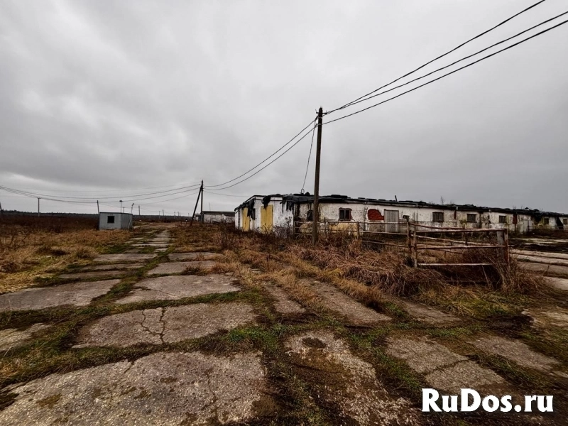 Сдам коммерческую недвижимость 1050 м2 изображение 6