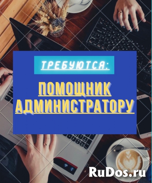 Помощник администратора фото