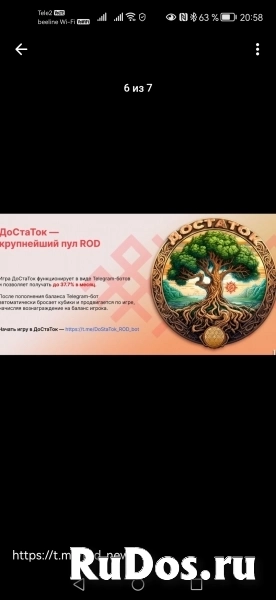 Игра ДоСтаТок ROD. фотка