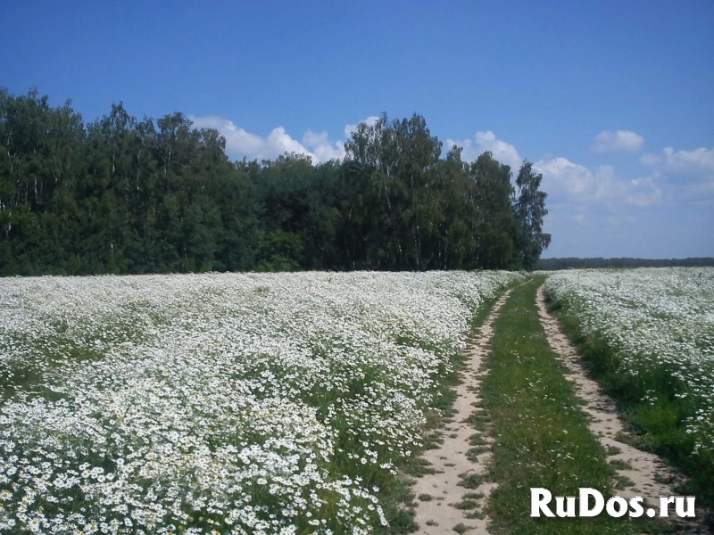 Продам участок 7.78 сот. изображение 9