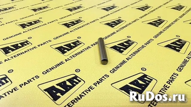 Иголки подшипника шестерни сателлит  028297   OEM изображение 3