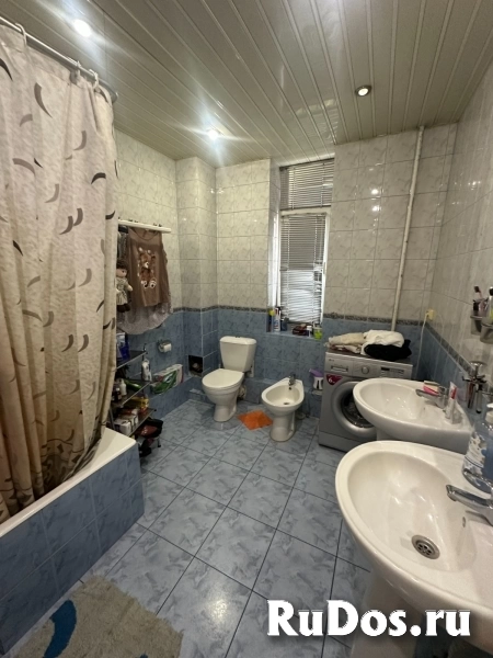 Сталинка на Светлане изображение 7