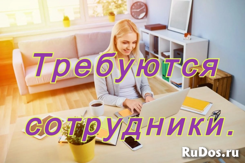 Открыта вакансия на должность партнера по бизнесу. фото