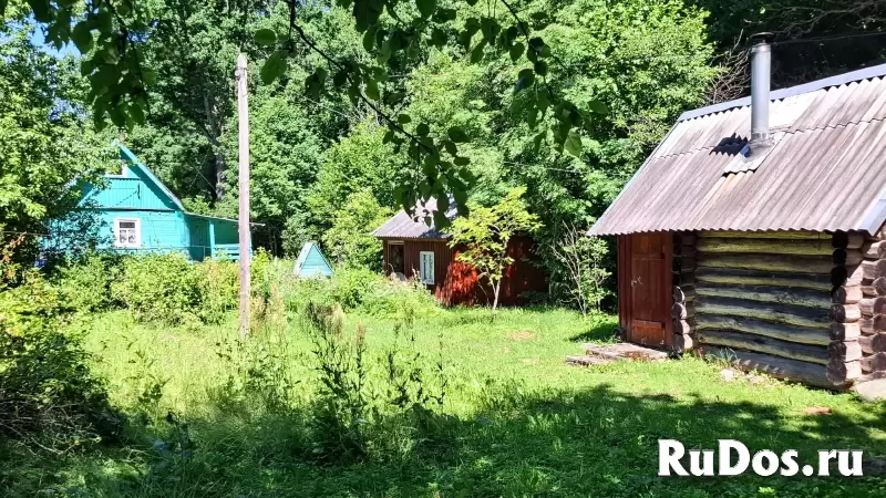 Домик с баней на очень уютном хуторе в лесном массиве изображение 6