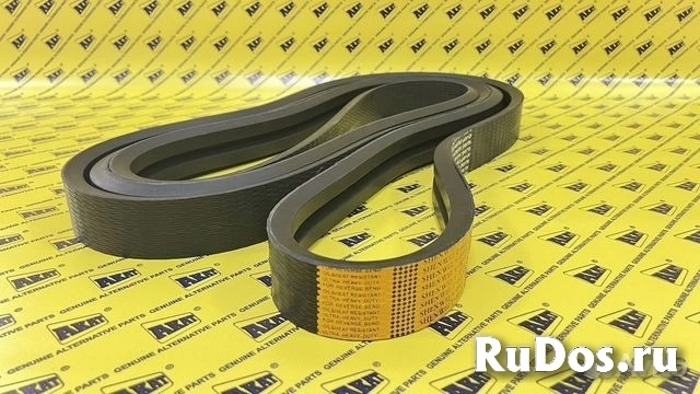 Ремень многоручьевой OEM H161945 изображение 4