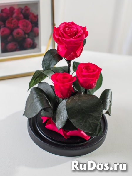 Роза в колбе оптом изображение 5