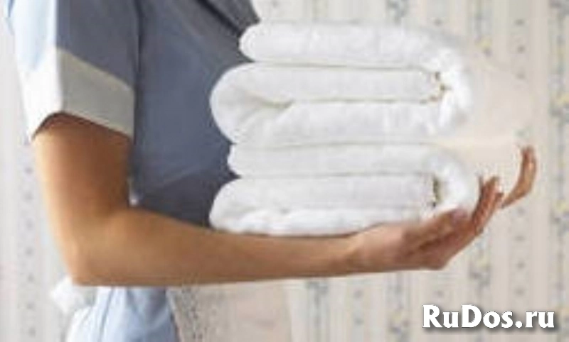 Подбор горничных, нянь, водителей, семейных пар изображение 3