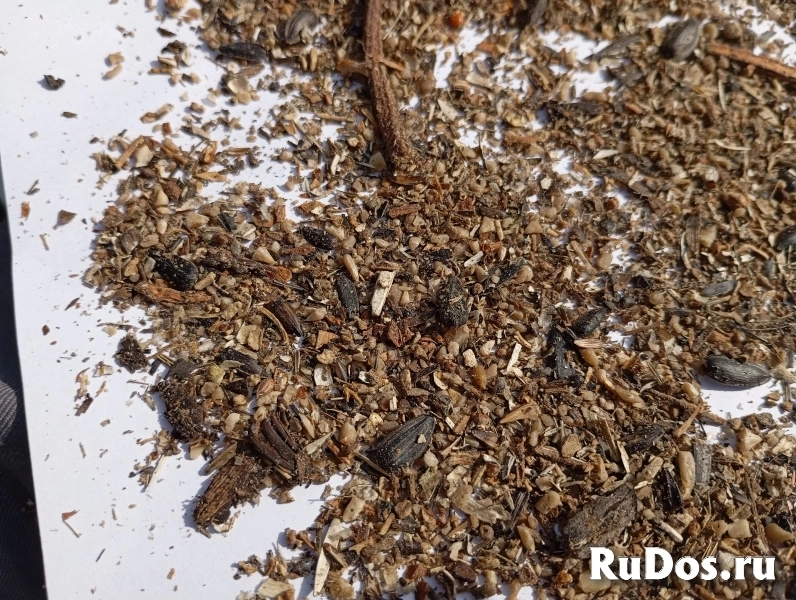 Отходы семян подсолнечника навалом фото