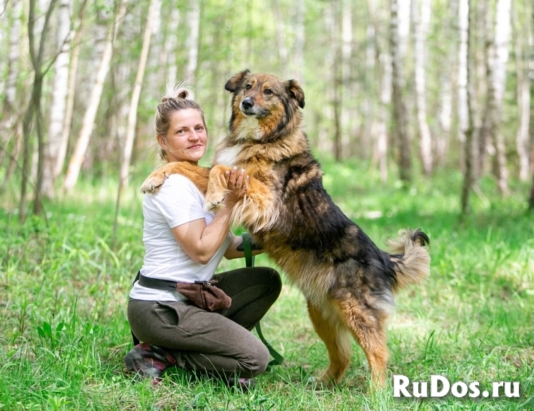 Ласка - ласковая, добрая, нежная девочка! Ищет семью изображение 6