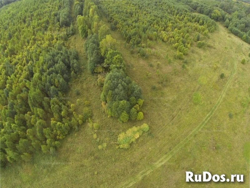 Бартер на участок ИЖС 1га., граничит с рекой Малая Коша. изображение 10