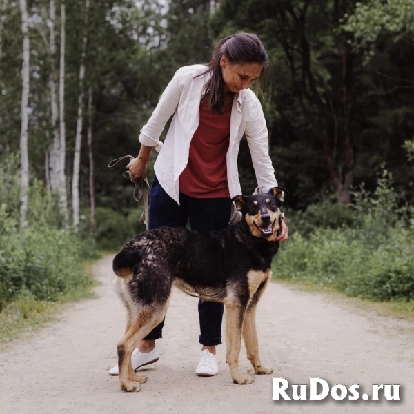 Прекрасная Люси в самые добрые руки! фотка