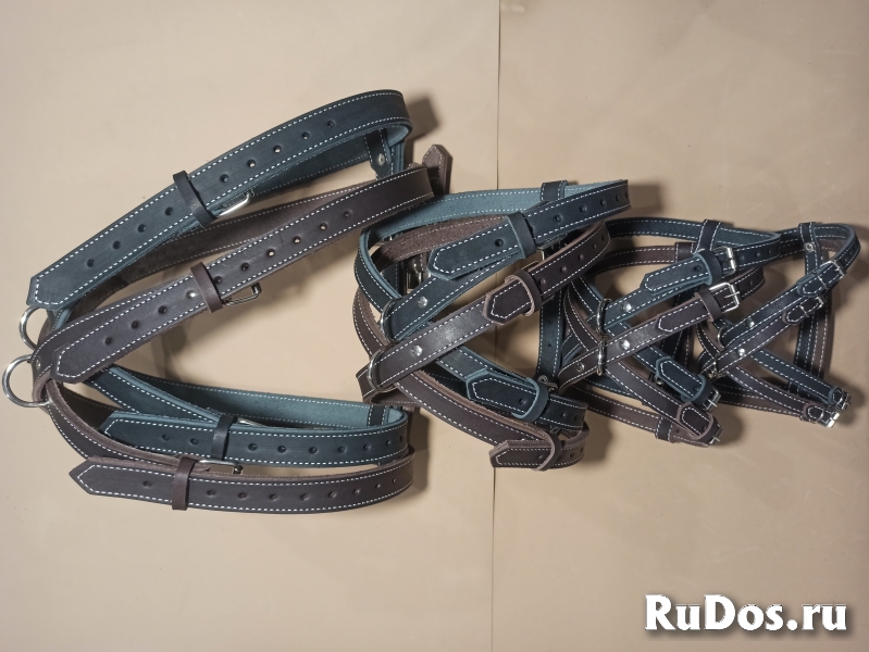 Petryaj™-ошейники для собак, кошек, поводки, шлейки оптом. изображение 6