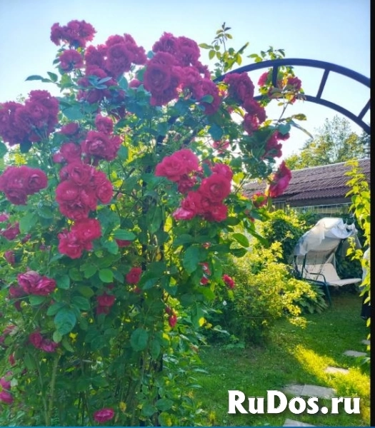 Продам дом 220 м2 изображение 8