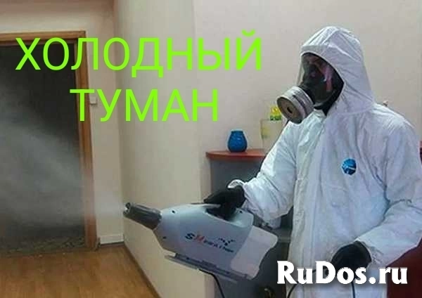 Уничтожение тараканов, клопов. фото