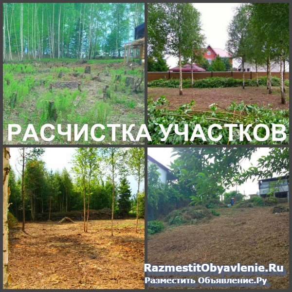 Расчистка Воронеж, расчистка участков в Воронеже фотка