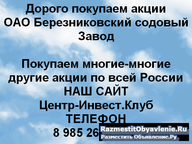 Покупаем акции Березниковский содовый завод фото