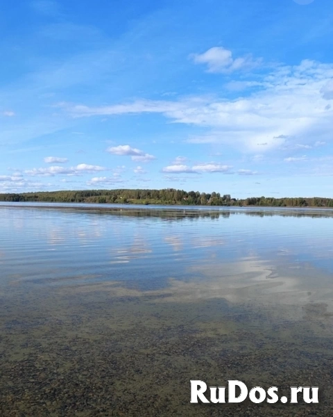 Участок 2.93 га в Ярославской области изображение 4