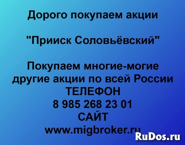 Продать акции «Прииск Соловьёвский» по выгодной цене! фото