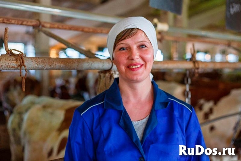 Доярка фото