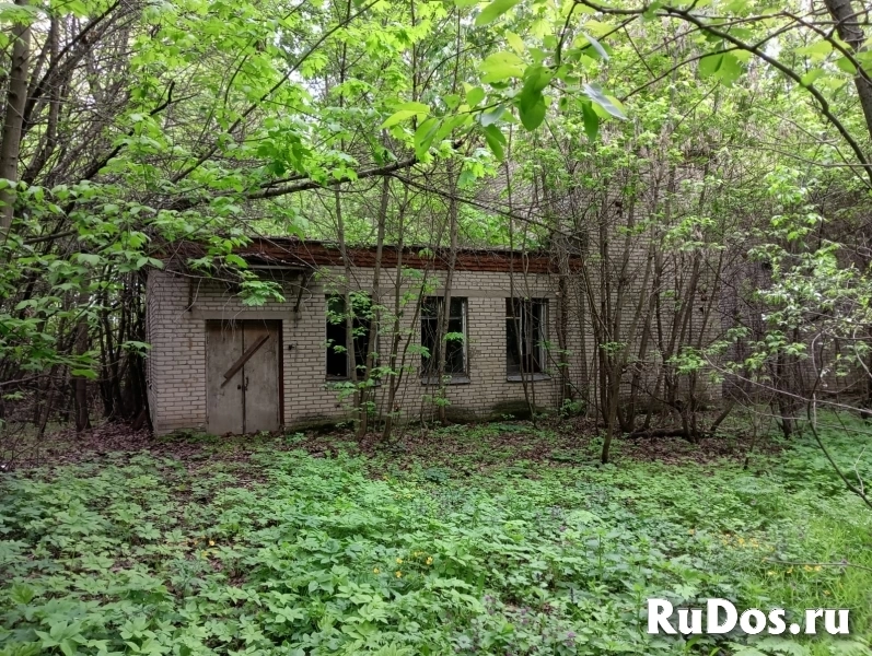 Продам коммерческую недвижимость 1060.3 м2 изображение 5